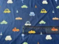 Car  Blue