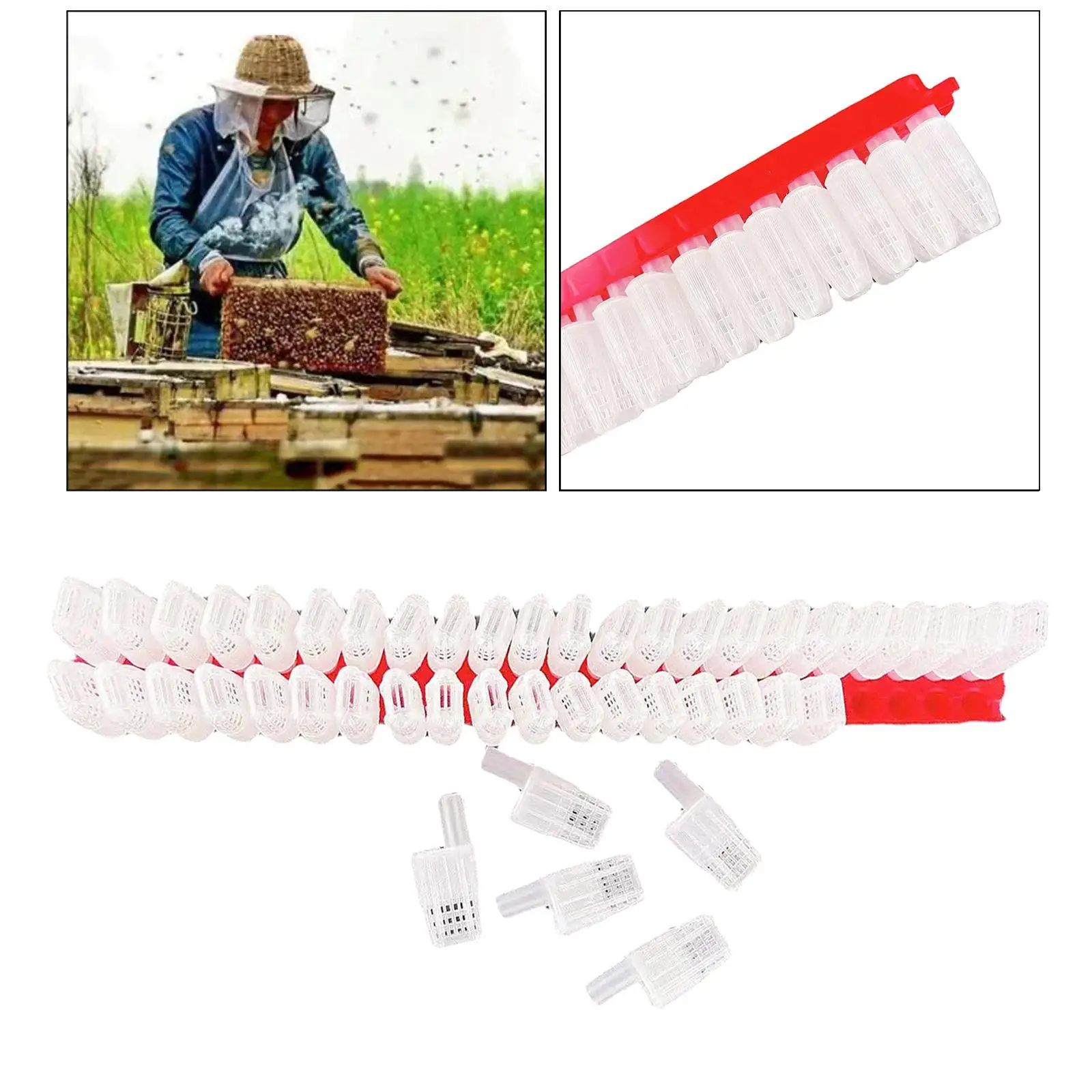 46/Set Plastic Queen Bee Moving Cage Protection Beekeeping Equipment Tools