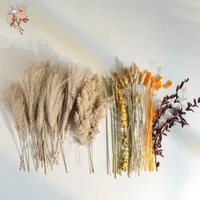 70 Pieces Natural Pampas Decoration Dried Flowers Bouquet