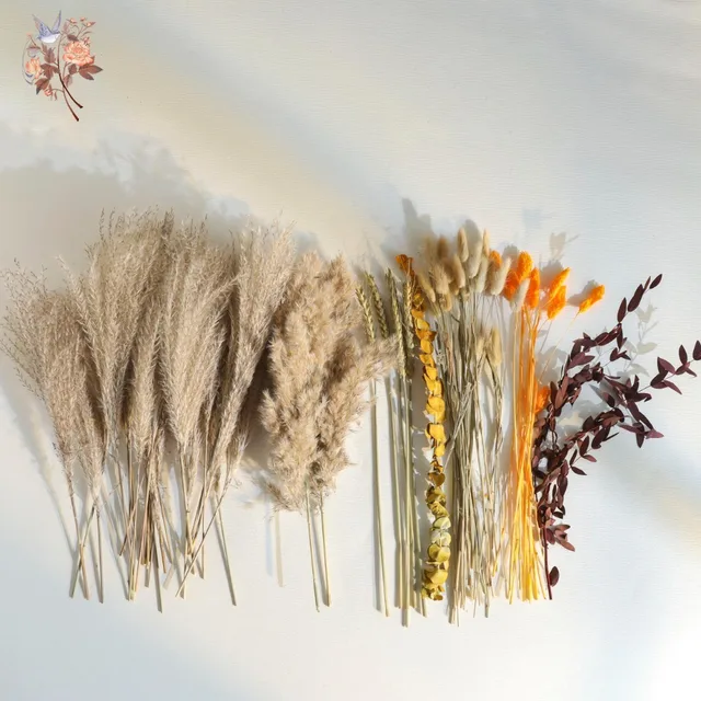 70 Pieces Natural Pampas Decoration Dried Flowers Bouquet