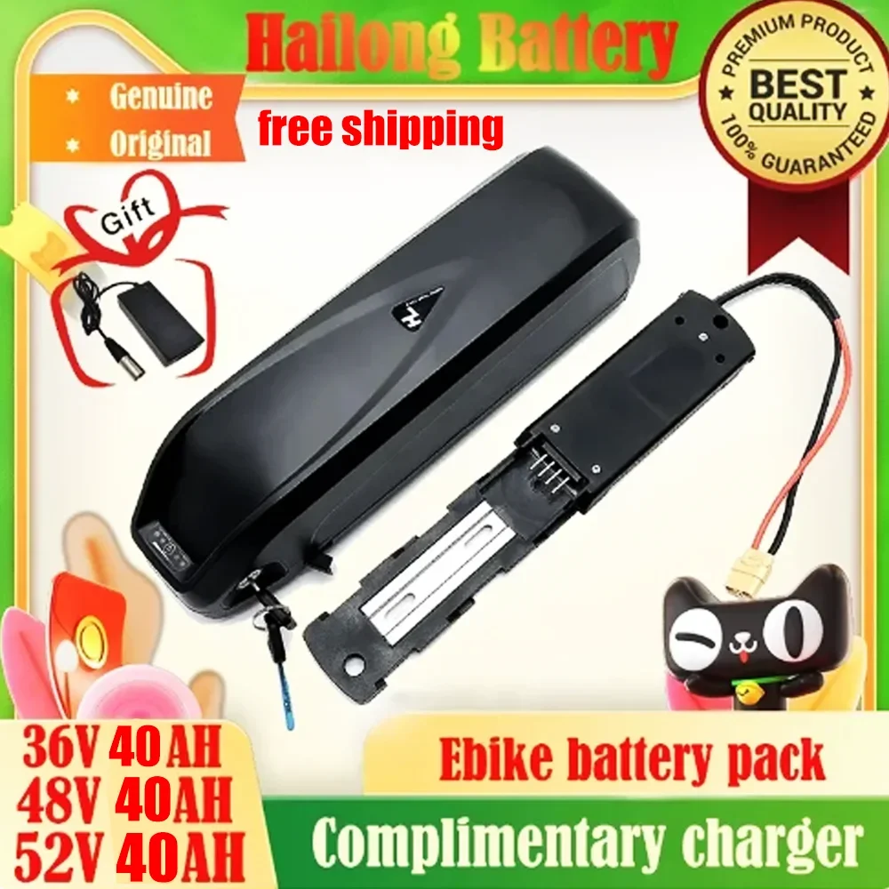 

Original 48V 36V 52V 20AH Hailong ebike Battery 40AH BMS for 350W 500W 750W 1000W Motor Free shipping and duty-free gift charger