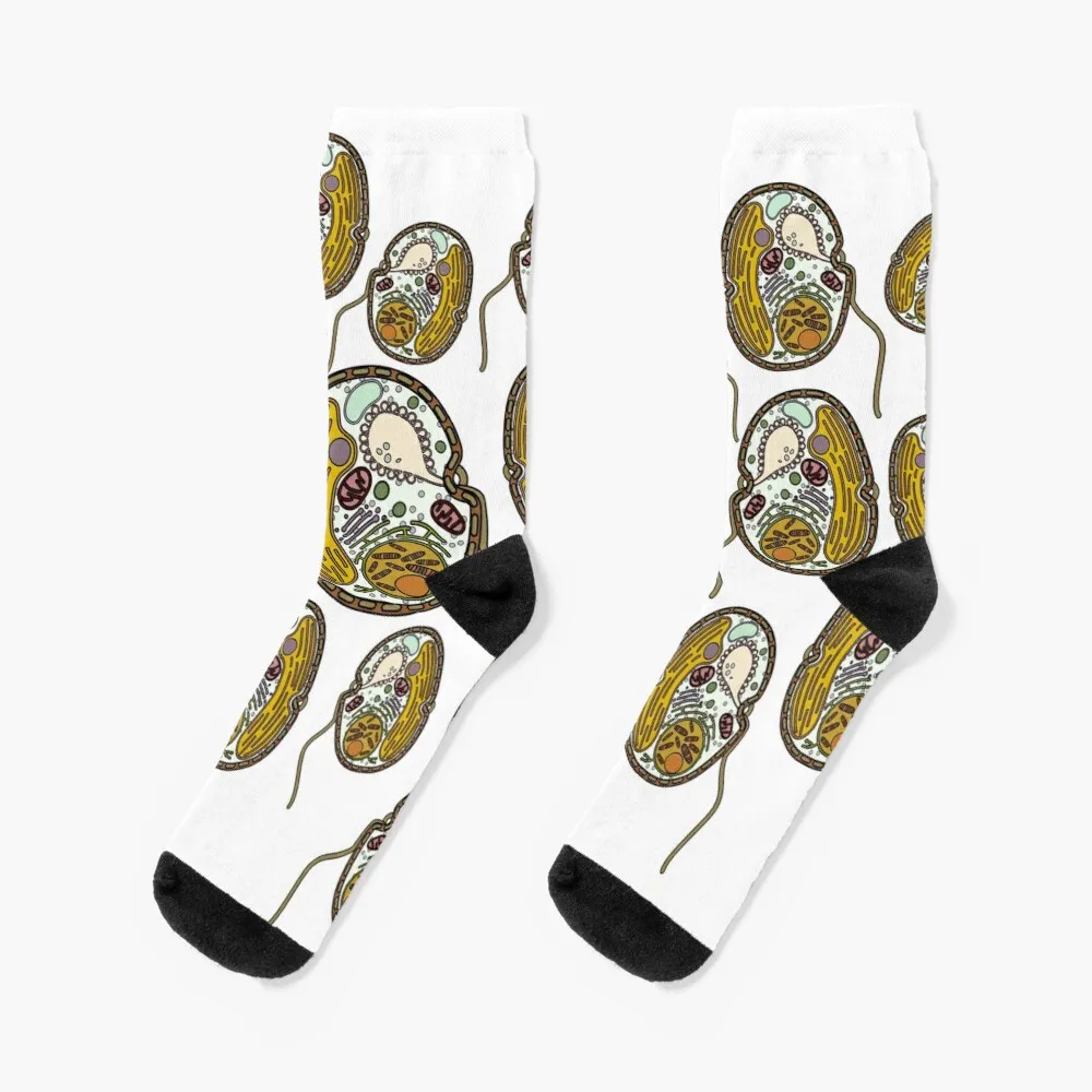 Dinoflagellate PrintSocks Winter Socks Women Mens Tennis