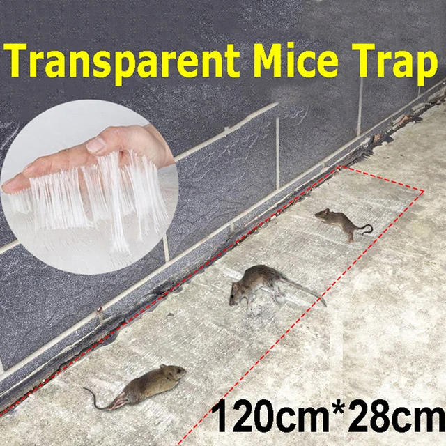 Dropship 6pcs Rat Trap; Large Mouse Traps; Mouse Traps Indoor For