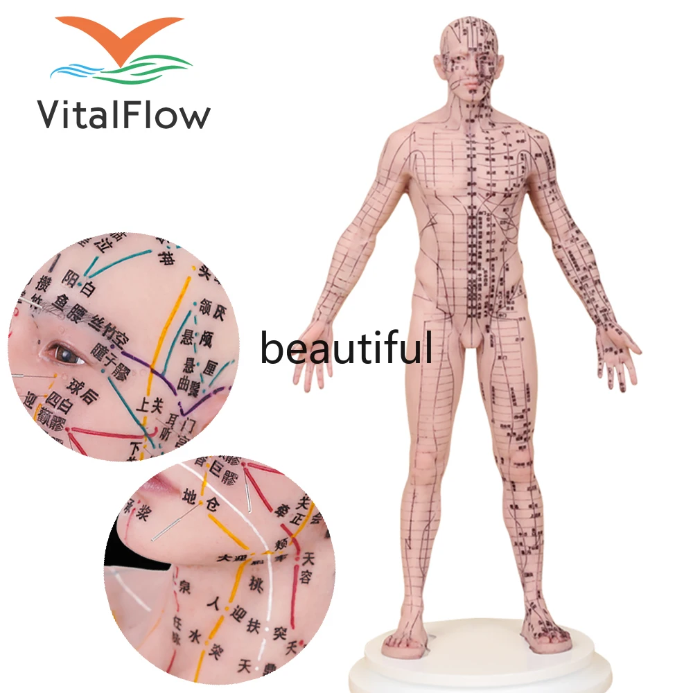 

48 см силиконовая модель человеческого тела для иглоукалывания подходит для начинающих в иглоукалывании, акупунктурной практики и акупунктурном обучении