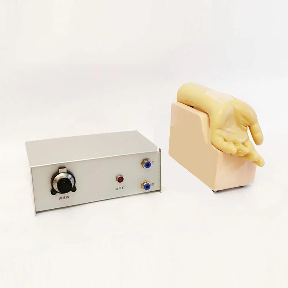 

Arterial Blood Analysis Training Model Radial Artery Arm Puncture Model