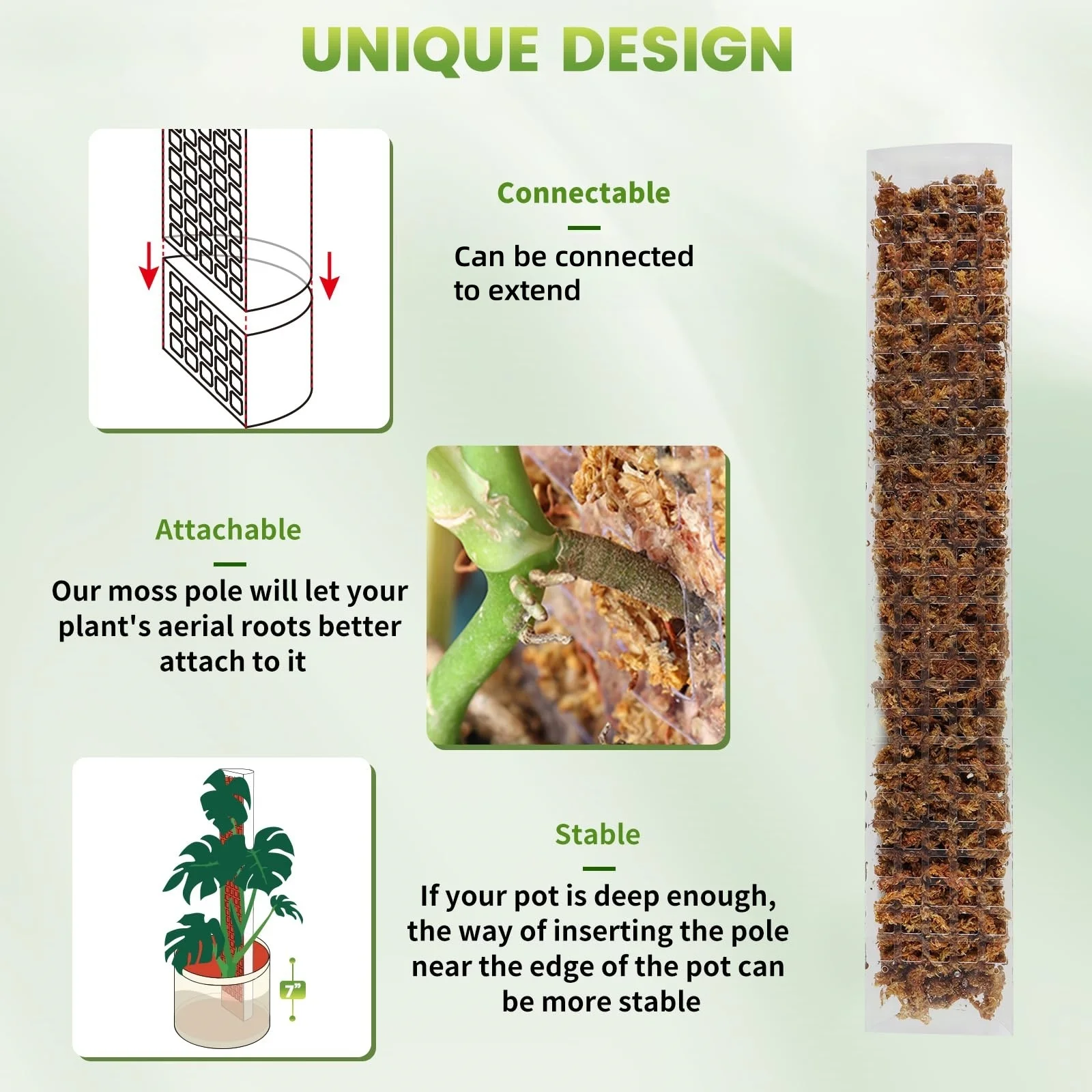 Plastic Moss Plant Support Pole 24in/36in/48in for Monstera Climbing Plants Indoor Garden