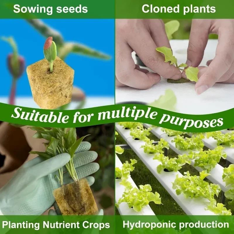 Hydroponic Grow Media Cubes 50/300PCS for Planting