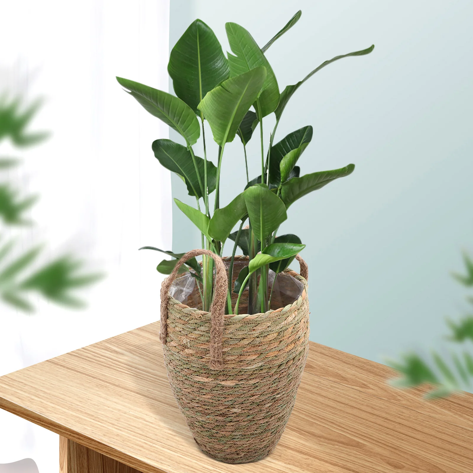 

Woven Flower Basket Planter Desktop Decor Storage Household Decorative Pot Pots Indoor Weaving Design