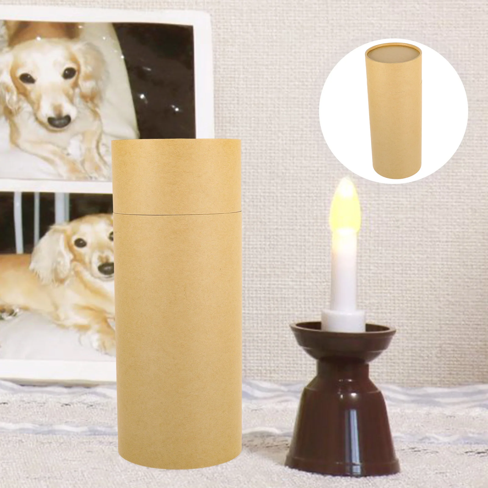 

Cylindrical Ashes Spreader Pet Small Biodegradable Urns for Adult Male Paper Cremation