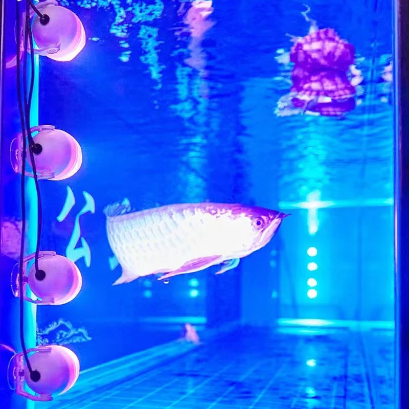 

Светодиодная подводная лампа для аквариума, 1 головсветодиодный, RGB, освещение для бассейна, водонепроницаемое освещение для пруда, IP68, 12 В переменного тока