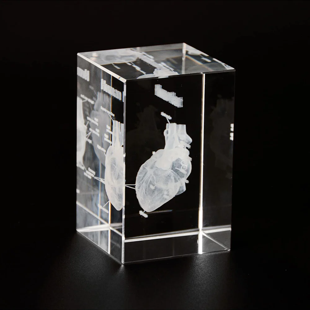 3D Crystal Human Heart Anatomy Model Cube Miniature Figurines For