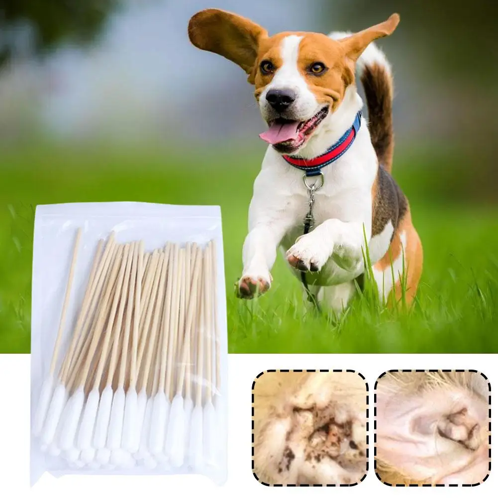 

50/100Pcs Pet Ear Cleaner Cotton Buds Animal Ear Cleaner Cotton Swab Sticks Cotton Buds For Dog Cat Ear Wax Removal Pet Sup P9M5