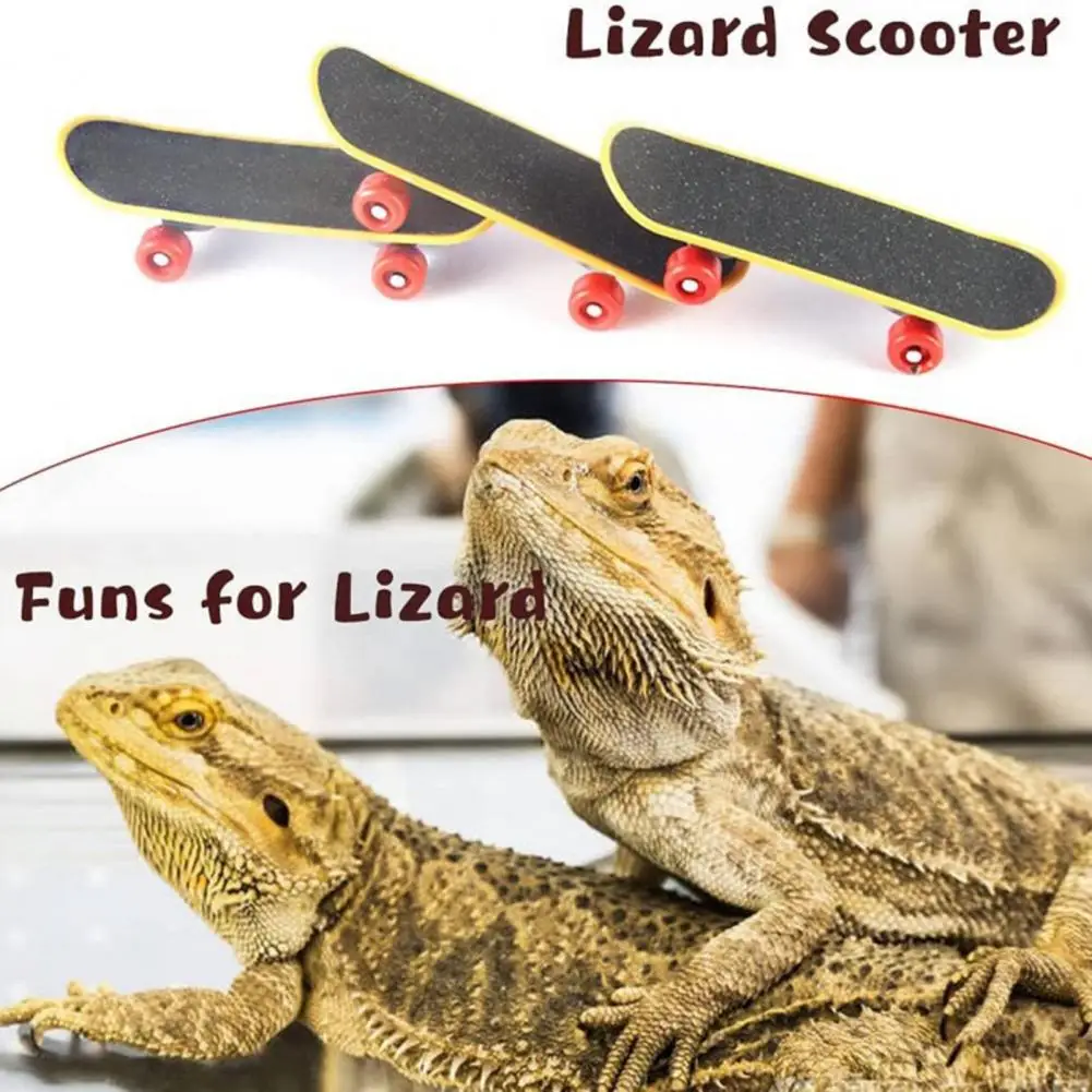 Useful Small Engineer Hat Funny Anti-crack Rotary Wheel Lizard Construction Helmet Small Pet Toys Exercise Decompression
