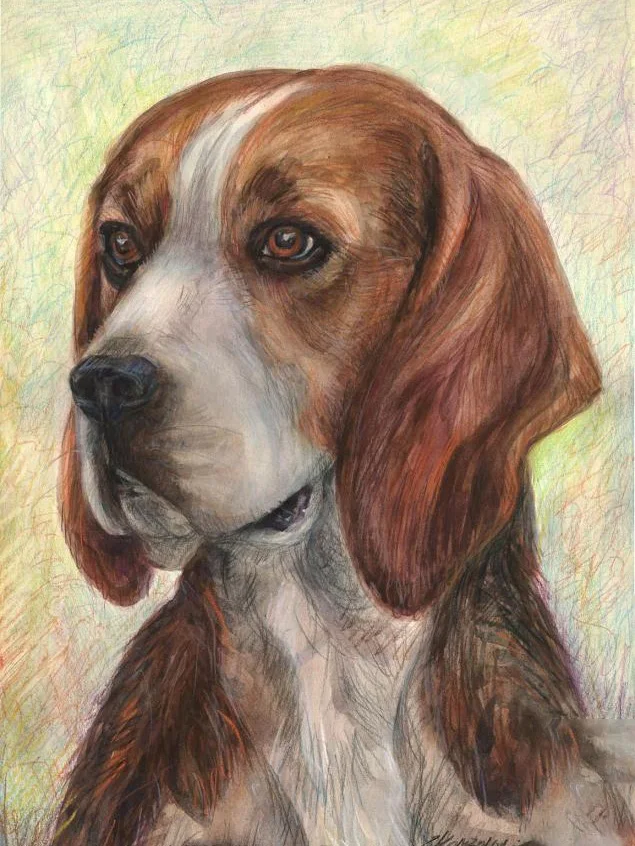 Boxer Dog Diamond Painting Kit 30x40cm - 5D Full Drill Round Diamond Art For Beginners