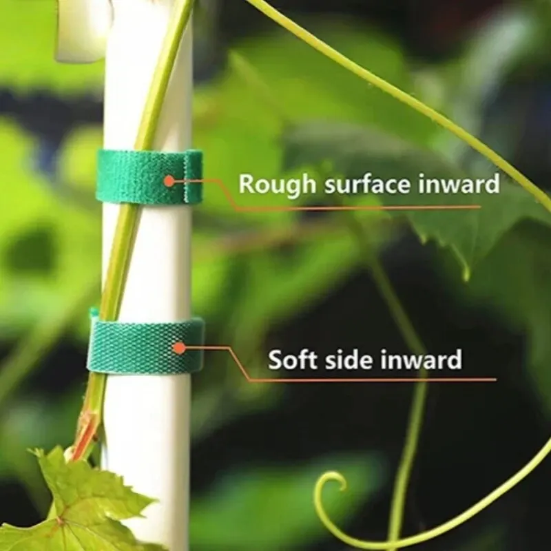 Plant Ties 5M Nylon Reusable Hook Loop Ties Green Fastener Tape Bamboo Cane Wrap Support Home Garden Accessories