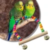 Natural Wooden Parrots Swing Tool Birds Perch Hanging Swings Cage With Colorful Beads Bells Hanging Cage Swings Bird Accessories 3