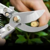 Garden Scissor Orchard Branch Shear Fruit Tree Pruning Shears Garden Pruning Shears Bonsai Plant Trim Grafting Tool 3