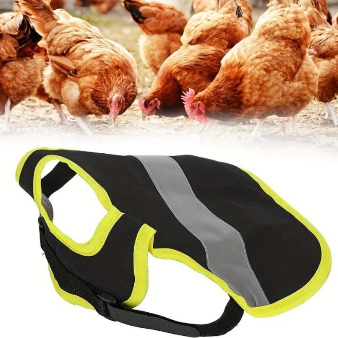 Reflective Chicken Warm Vest 3