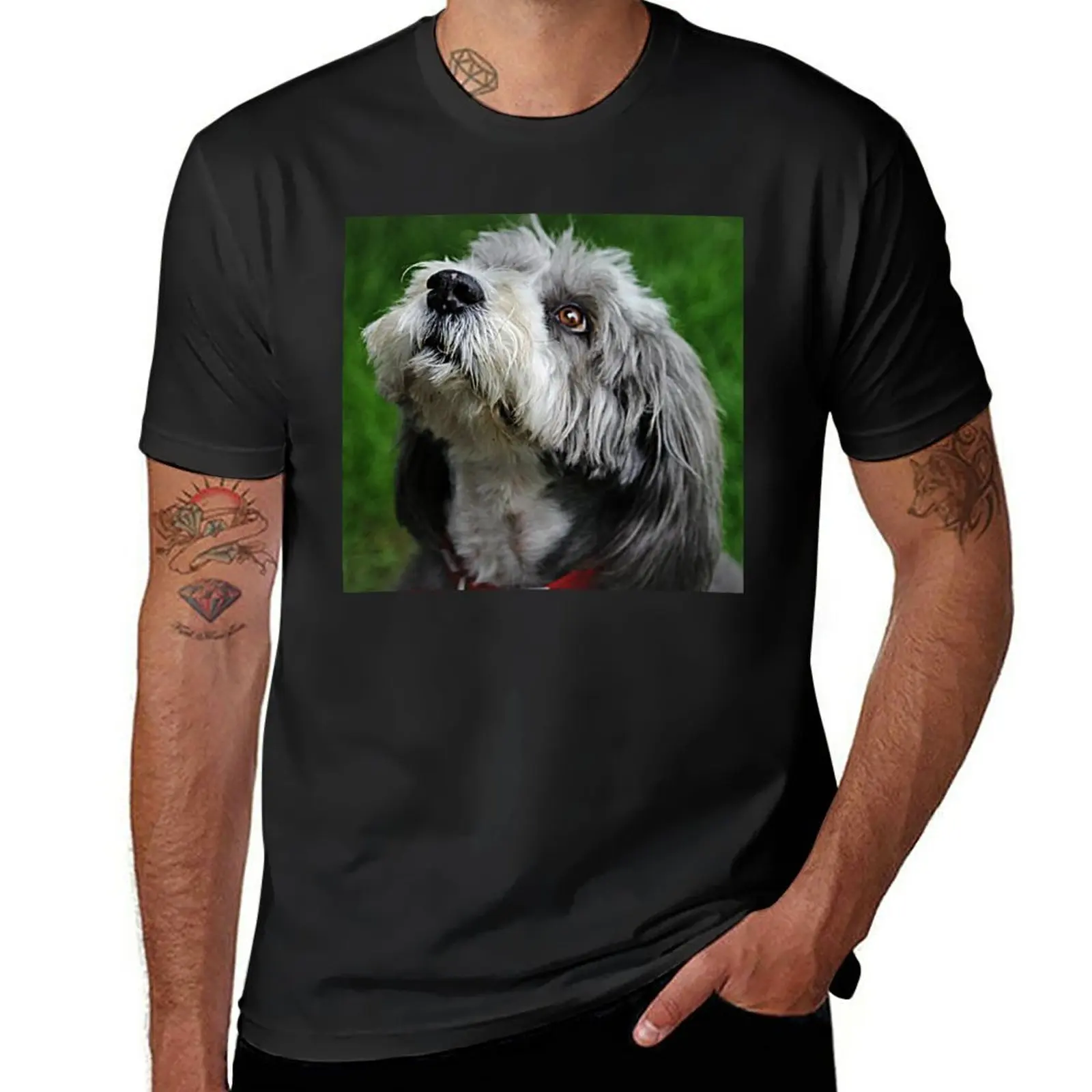 

New Cassie T-Shirt plus size t shirts t-shirts man fitted t shirts for men