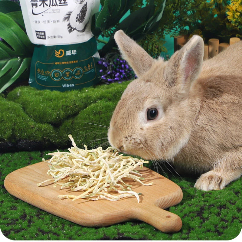 50g de papaya para mascotas, acondicionador del estómago para ayudar a la defecar, semilla de conejo, melón de madera, Chinchillas secas, conejillo de indias, hámster, juguete molar 3