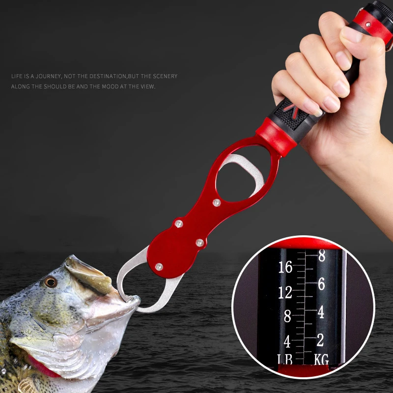 Fishing Gripper Lip Grippers Fishing Fish Grabber Tool Lip Clamp With  Weight Scale Anti-Rust For Beginner Fishing Enthusiasts