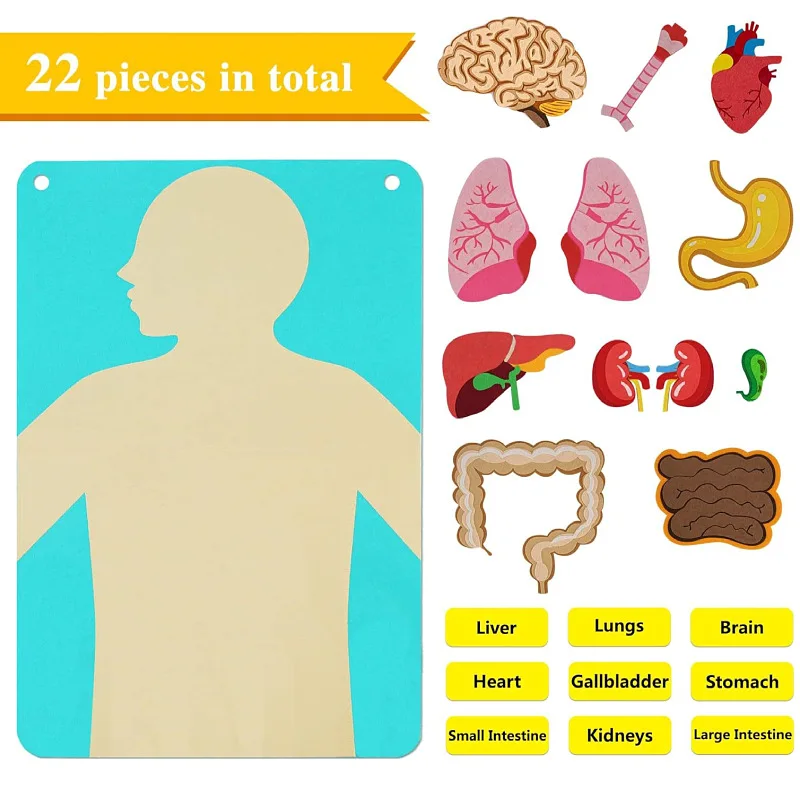 1pc 30.7*20.47inch Felt Human Body Structure Cognitive Map DIY Puzzle Educational Toy for Children Busy Board Organs Puzzle