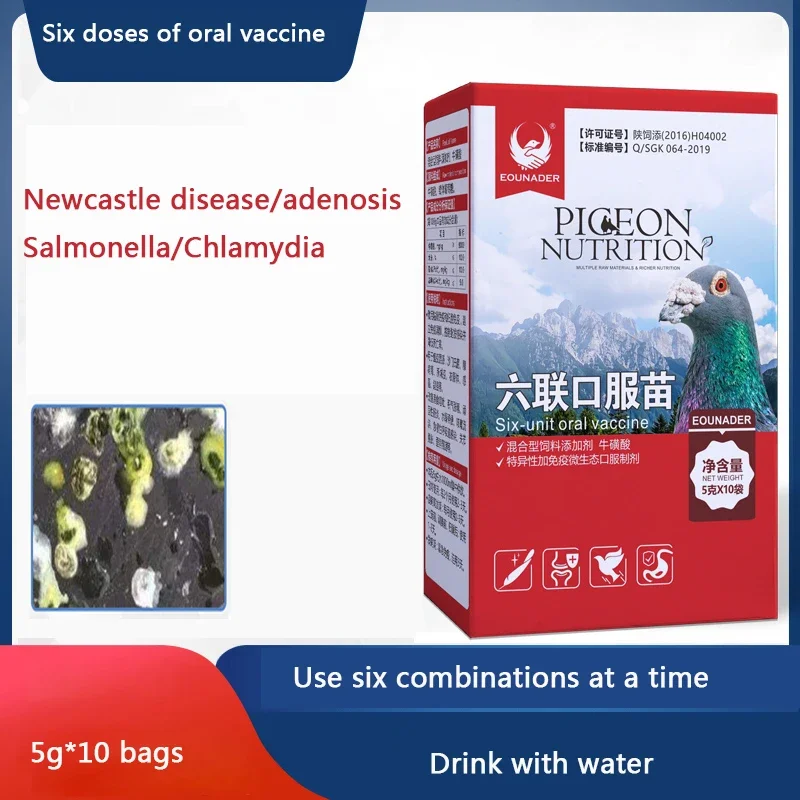 Pigeon special six oral vaccine young pigeon salmonella chlamydia six pigeon pox Newcastle disease health supplies