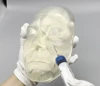 Transparent Silicone Male Injection Mannequin Training Model Applied in Aesthetics Training for Esthetician 1