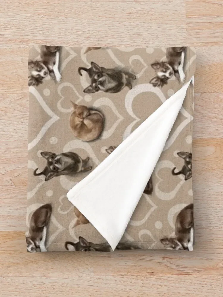 ġ�Ϳ� ������ ���, ������ �̹�, ������ �ܿ�, ���Ÿ� �����̳� ���