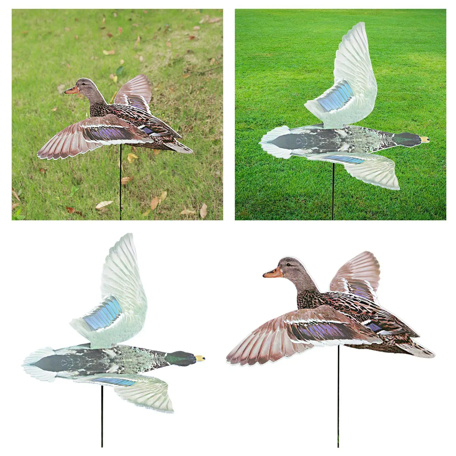Leurre canard multifonction réaliste léger ailes déployées - Décoration jardin portable installation facile