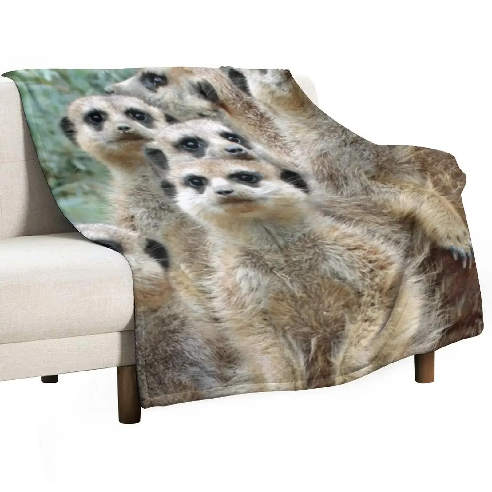 

Meerkat 012 Throw Blanket heavy to sleep Sofa Loose Blankets