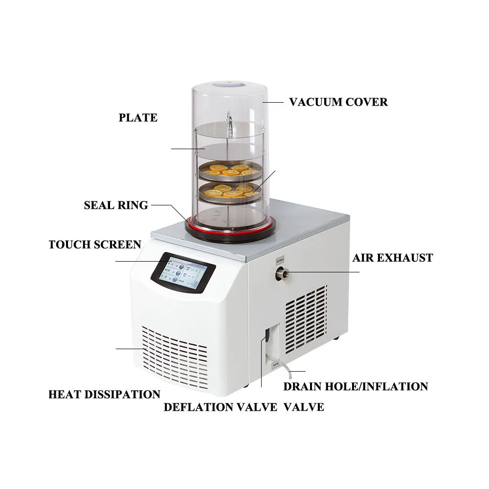 China Vertical Research Laboratory Biotechnology Lyophilizer Vacuum Drying Machine Freeze Dryer