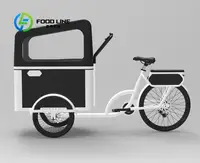 Vélo cargo à pédale électrique à 3 roues avec moteur arrière pour transporter des vélos électriques pour animaux de compagnie 3