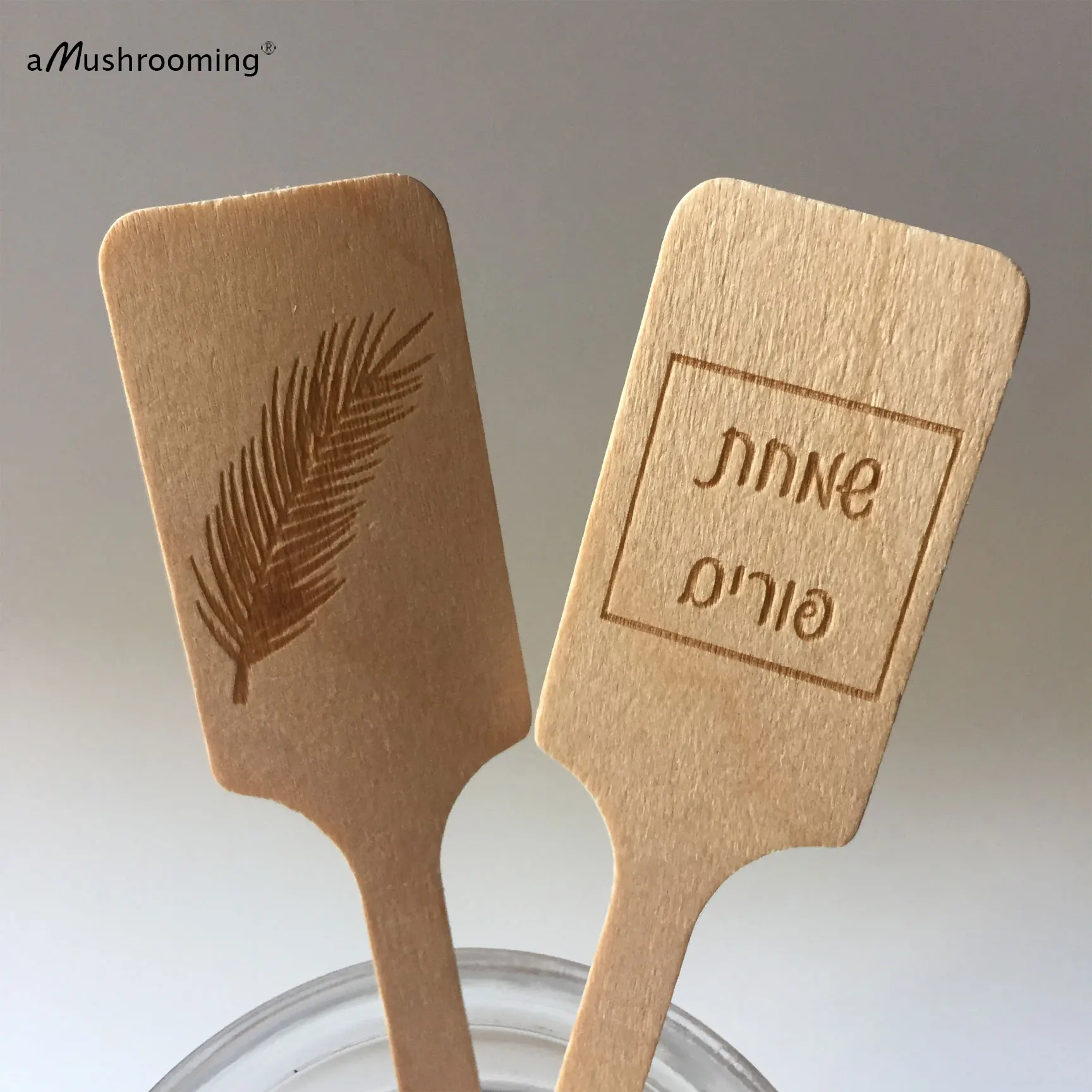 100pcs Purim Wooden Drinking Stirrers Engraved Coffee Bar Cocktail Swizzle Sticks for Simchas Purim Party Bar Decorations