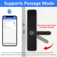 RAYKUBE F7 TT Lock Smart Fingerprint Lock Electric Door Lock With Longer Larger Handle Panels Mirror Design APP Remote Control - Image 6