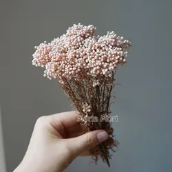 Elegant Preserved Rice Flower for Home and Office Decor - Ideal for DIY Crafts and Handmade Candle Projects (Light pink)