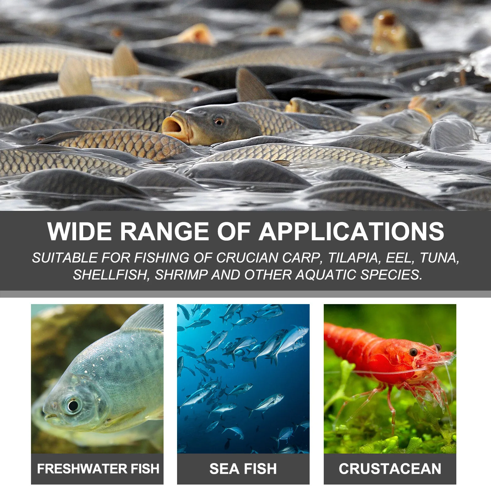 https://ae01.alicdn.com/kf/S3147e129b7cd4be0b4f0f0c95ee2314a2/Fish-Bait-Powder-Additive-Fishmeal-Fish-Buster-Carp-Killer-Concentrated-Blood-Worm-Scent-Shrimp-Smell-Attractant.jpg