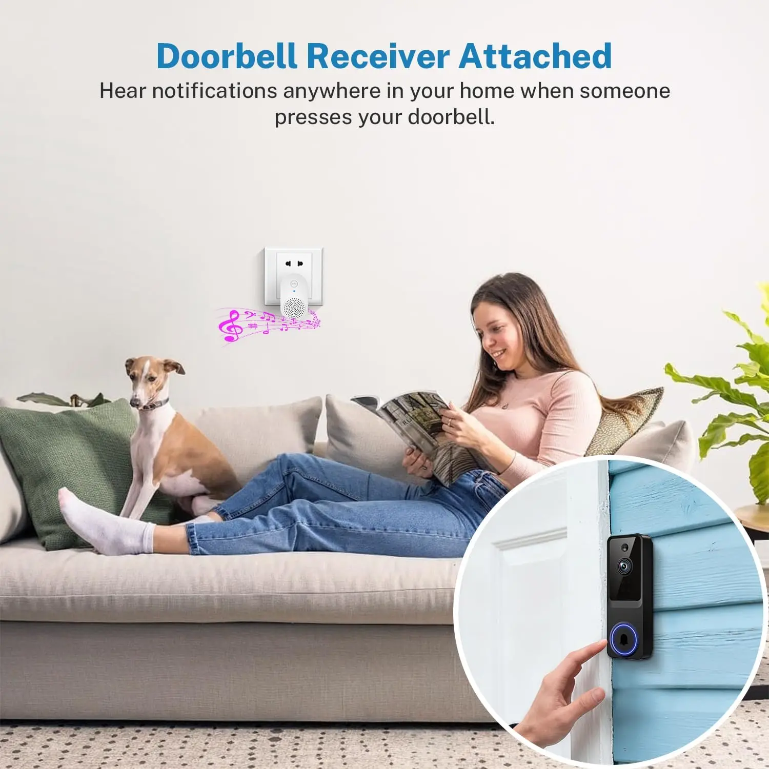 motion detection alert