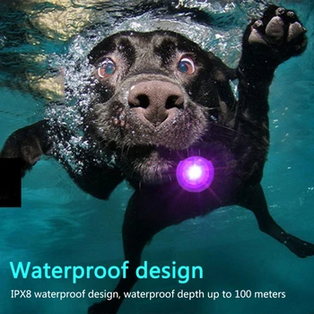 Led Dog Collar Pendant Rechargeable Pet Usb Luminous 2