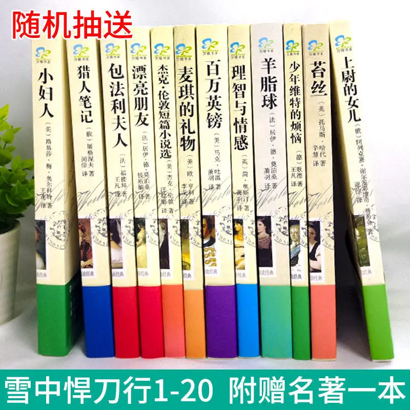Рисунок 4 - 20 книг, книга «Искусство в снегу»