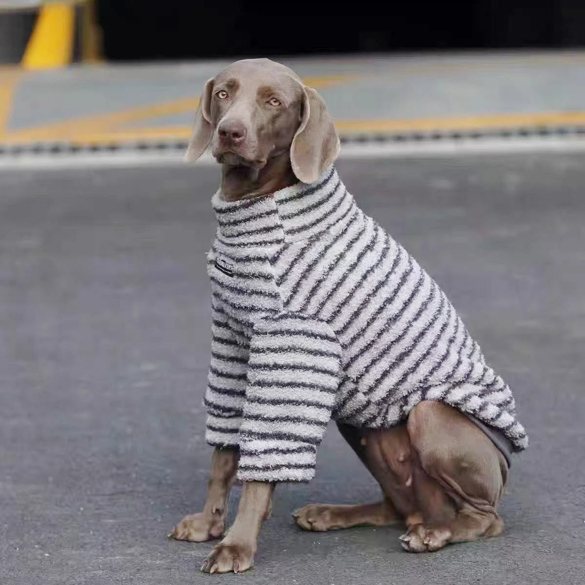 Cozy Stripe Fleece Turtleneck Dog Sweater - Winter Pullover