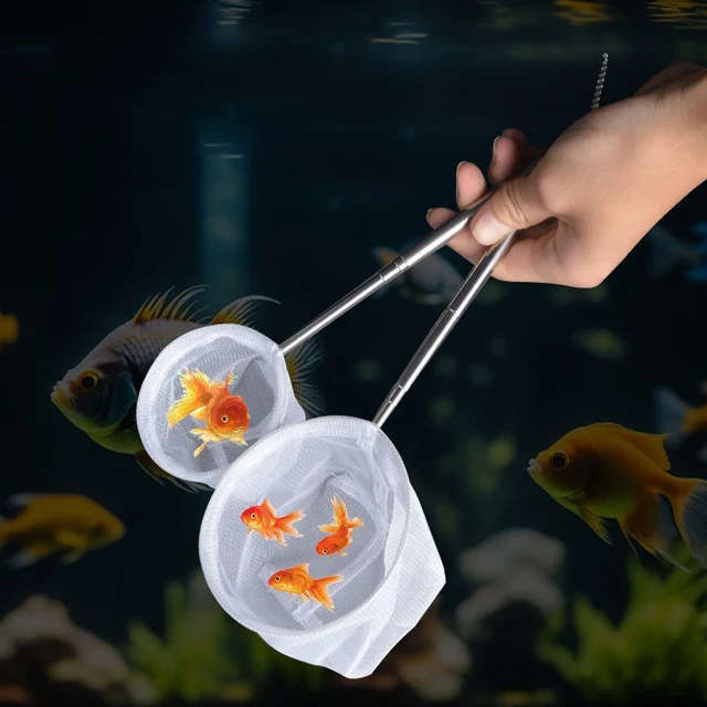 Aquarium Fish   Stainless Steel Retractable Small Shrimp Fishing Nets Fish Accessories For Fish Tank Cleaner Tool 2