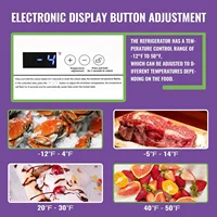 Feet Deep Chest Freezer Freezer with Electronic Display Screen Electronic Thermostat Accurate to Every Degree Adjustable Storage 2