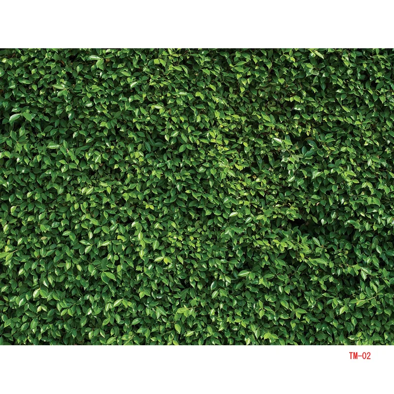     ܵ ڿ ܵ Ƽ  ,      Ʃ ǰ DD-02