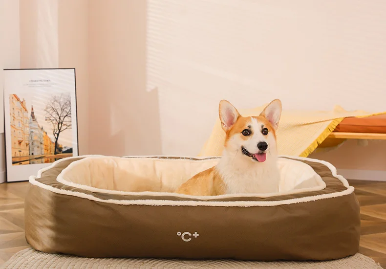 S314f9b5df37a4f0d91faf19dfe5c2991F