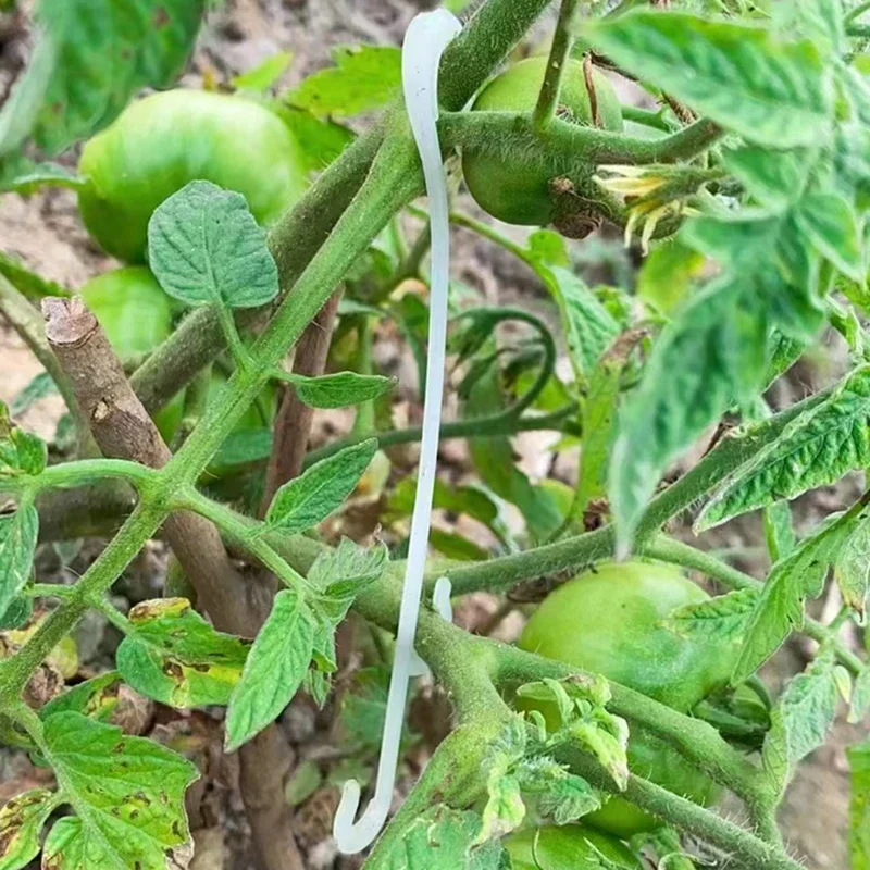 13/16CM Tomato Support J Hooks Plant Support Vegetable Clips To Prevent Tomatoes Fruit Cluster From Pinching or Falling Off 4