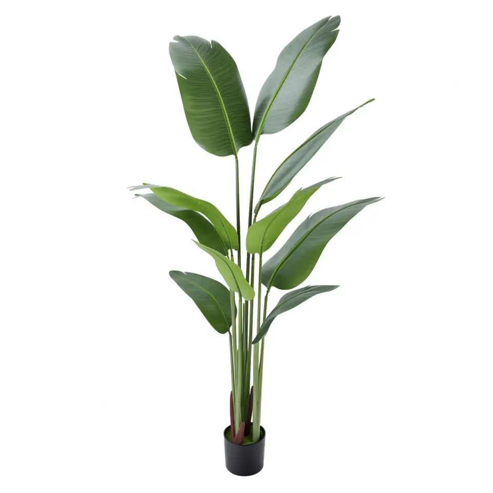 Faux Tropical Banana Tree Indoor Plant 5.2FT
