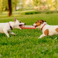 Durable Jute Dog Chew Toy - Bite-Resistant Teething Stick for Puppies & Adult Dogs, Natural Pet Dental Health Care 2