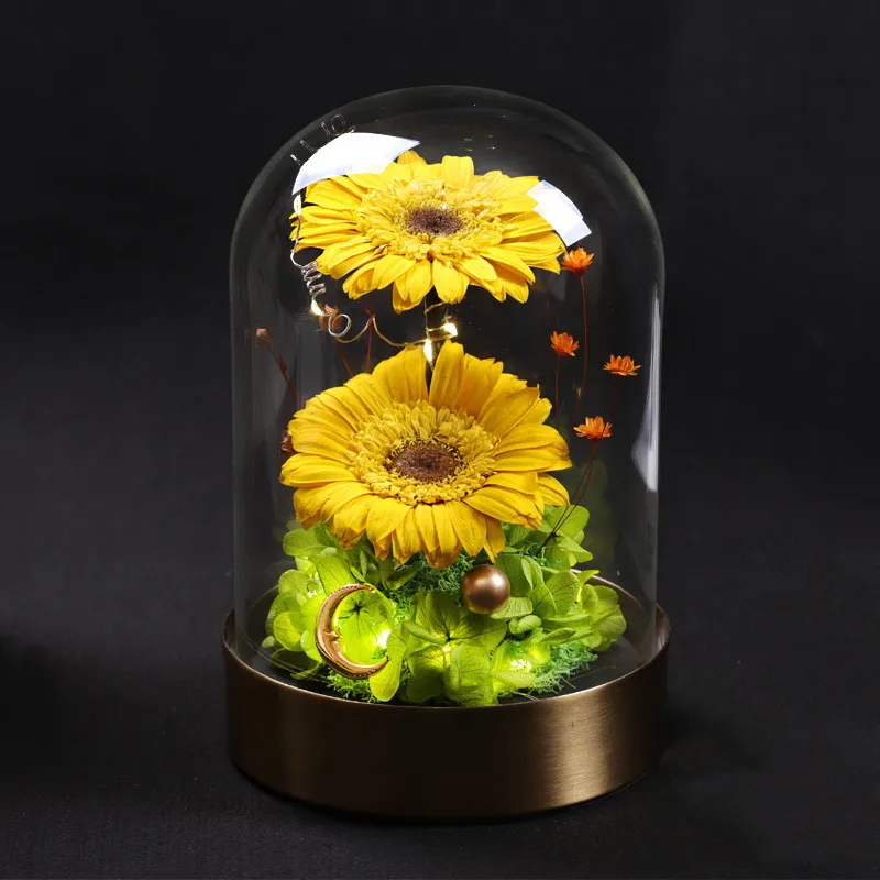 15*30cm Light Wire Lumious Metal Base Glass Dome Vase Home Decoration Transparent Cover DIY Friend Gift Wedding Live Prop 5