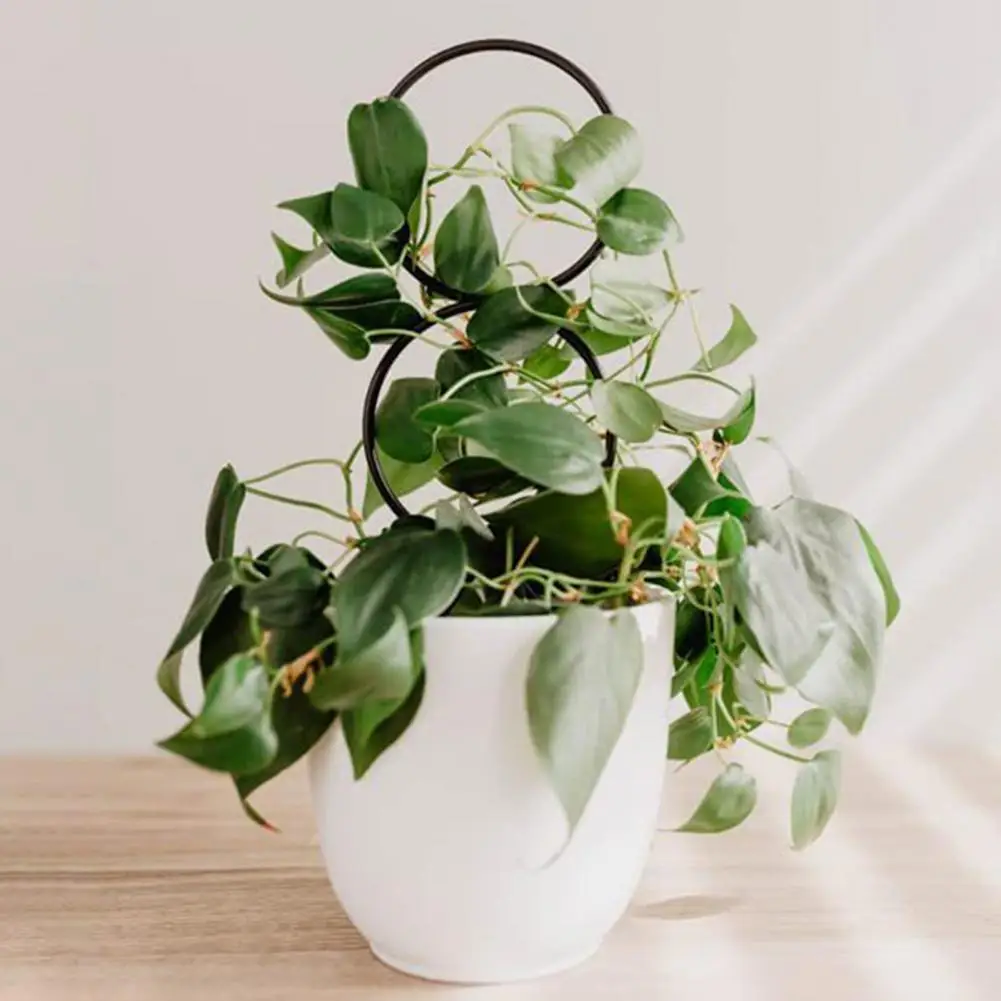 4Pcs Plant Climbing Traliccio Stabile Supporto Per Piante In Vaso Pothos Hoya Picchetto Di Supporto Per Piante Rampicanti